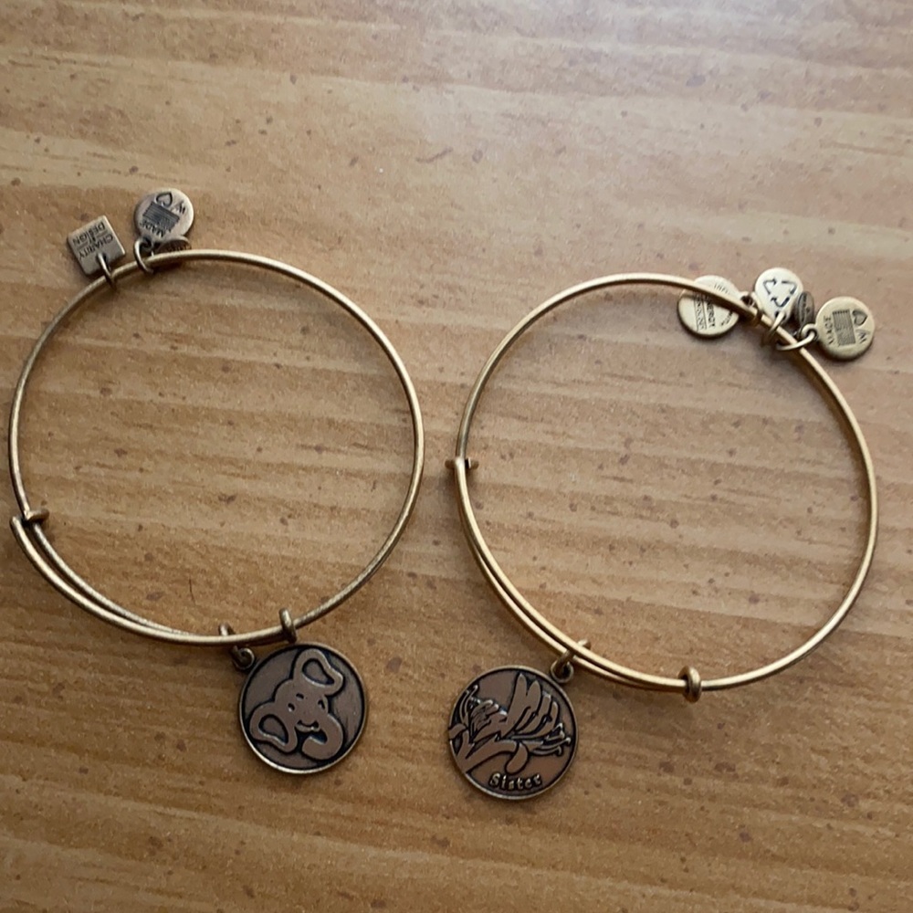 Alex & Ani Gold Charm Bracelets